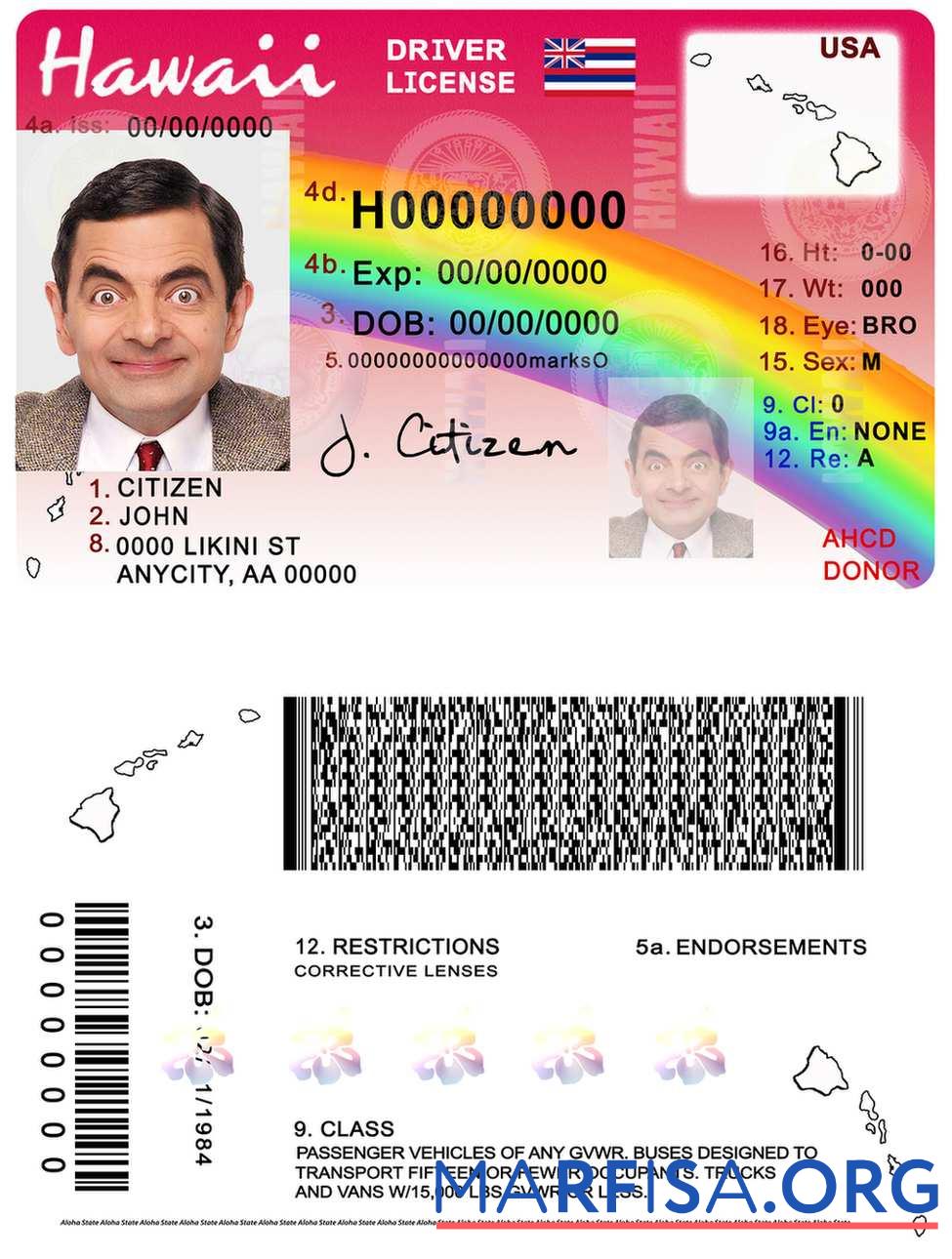 Realistic Hawaii driving license example
